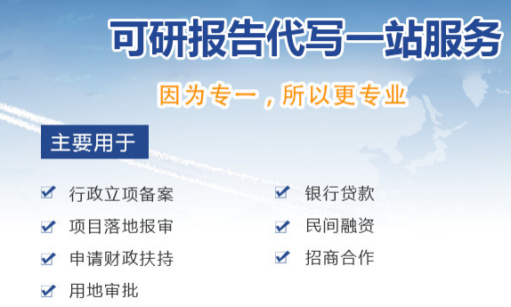 项目建议可行性报告代写.png 项目建议可行性报告代写.png